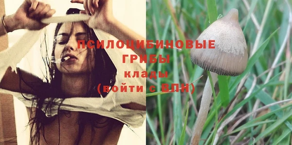 дурь Верхнеуральск